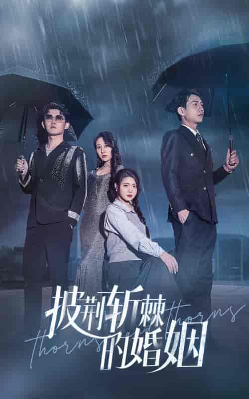 披荆斩棘的婚姻（70集）-初遇资源网