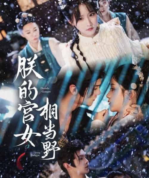 朕的宫女相当野（62集）宋柯君＆王燕飞-初遇资源网