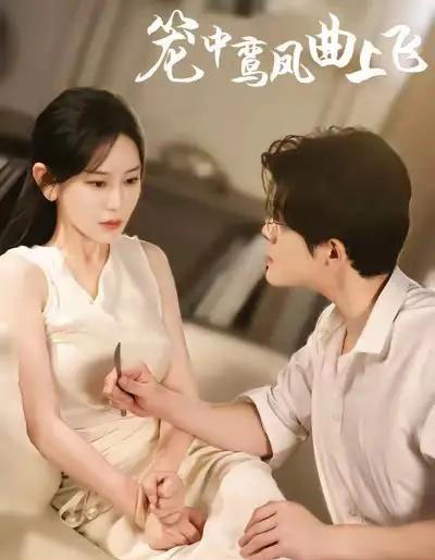 笼中鸾凤曲上飞（40集全）刘彦凯＆王艺鑫-初遇资源网