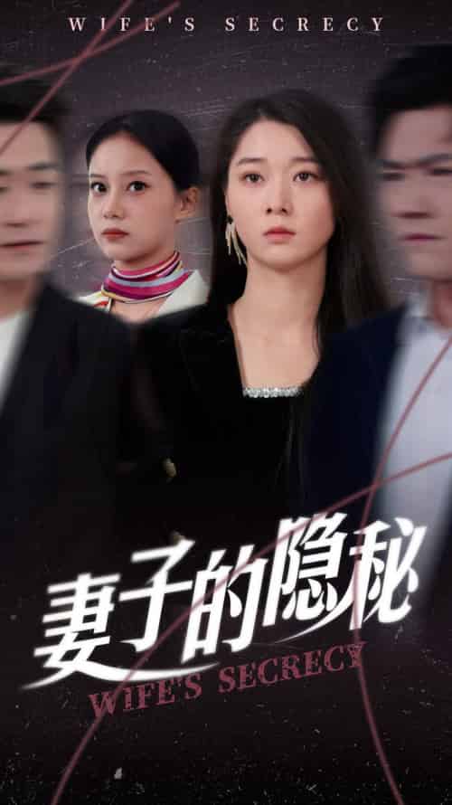 妻子的隐秘（50集全）李轩儿-初遇资源网