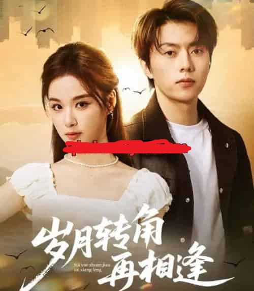 岁月转角再相逢（80集全）张磊＆王宇婧-初遇资源网