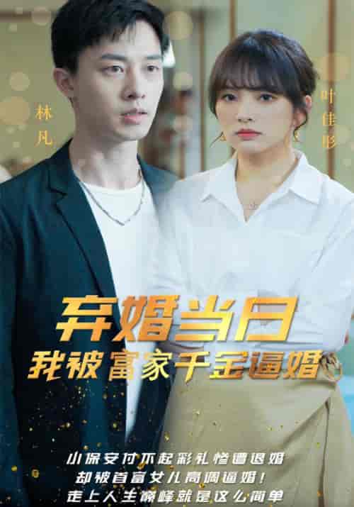 弃婚当日,我被富家千金逼婚(98集全)林凡&叶佳彤-初遇资源网