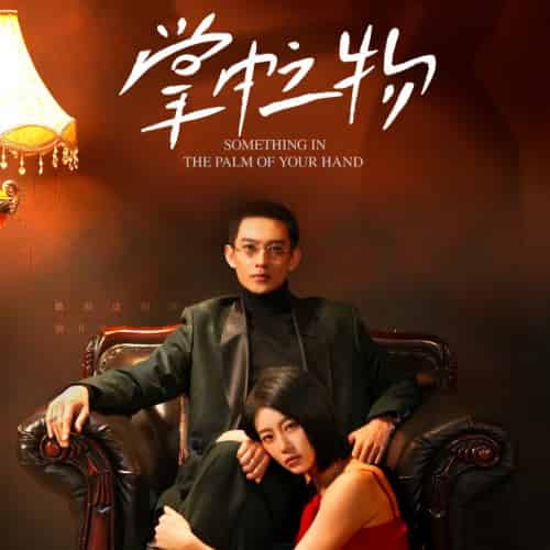 掌中之物（62集）于小婉-初遇资源网