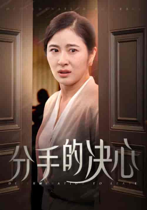 分手的决心（39集全）-初遇资源网