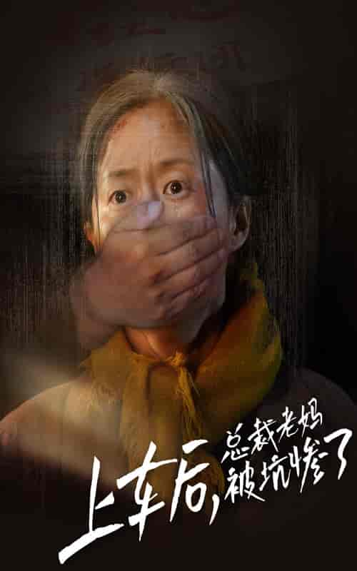 上车后，总裁老妈被坑惨了（30集全）-初遇资源网