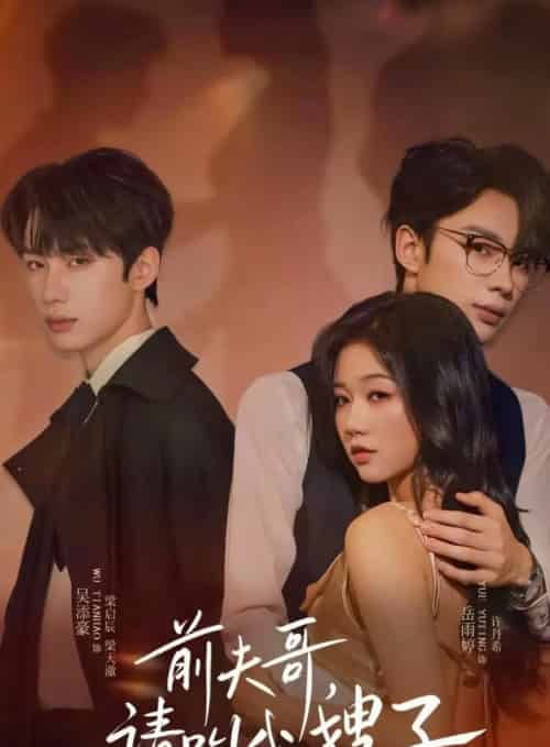 前夫哥请叫我嫂子（40集全）岳雨婷＆吴添豪-初遇资源网