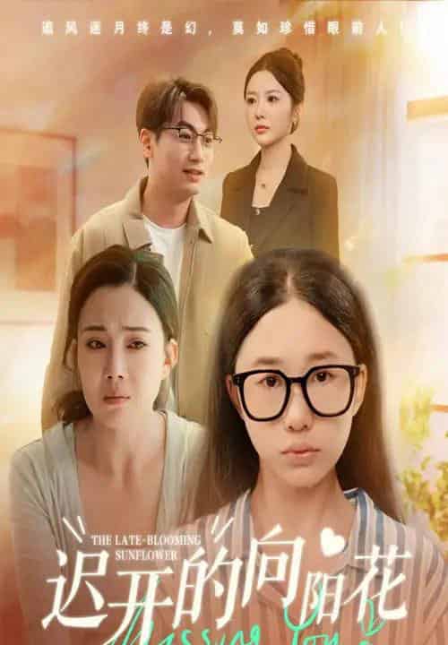 迟开的向阳花(60集全)梁昦子&姜妮彤-初遇资源网