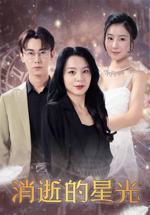 消逝的星光（28集全）刘斌＆黎雪-初遇资源网