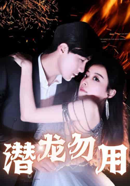 潜龙勿用（87集全）-初遇资源网