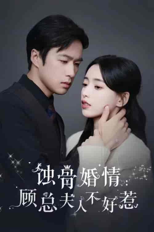 蚀骨婚情：顾总夫人不好惹（93集）-初遇资源网