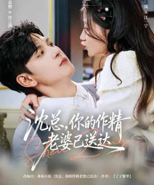 沈总,你的作精老婆已送达(94集全)王嘉懋&兰岚-初遇资源网