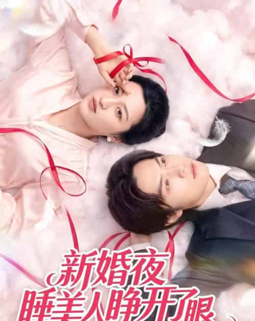 新婚夜睡美人睁开了眼（50集全）刘涵＆李玉豪＆廖文根-初遇资源网