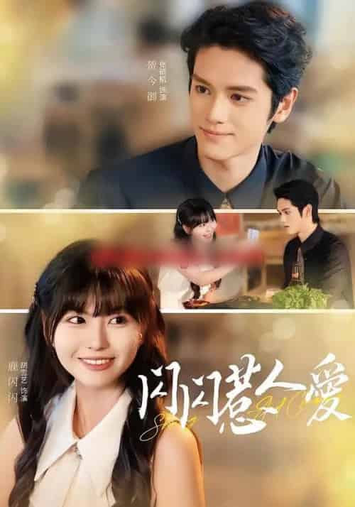 闪闪惹人爱（60集全）胡雪艺＆张硕航 - 夸克短剧