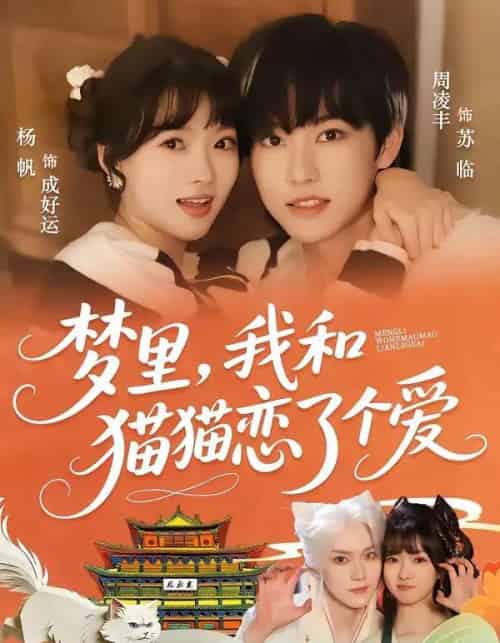 梦里，我和猫猫恋了个爱（72集全）周凌丰＆杨帆-初遇资源网