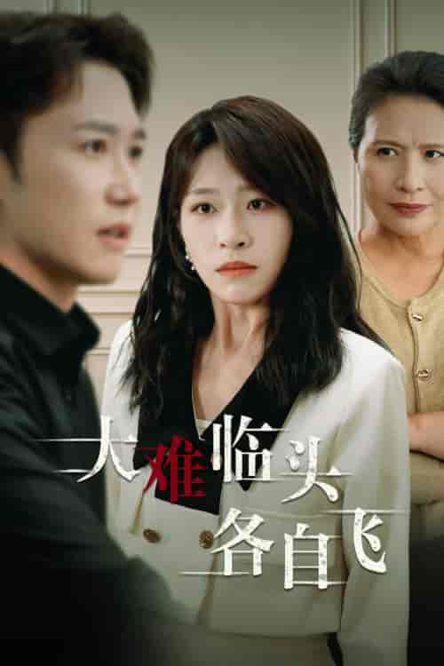 新：大难临头各自飞（53集全）-初遇资源网