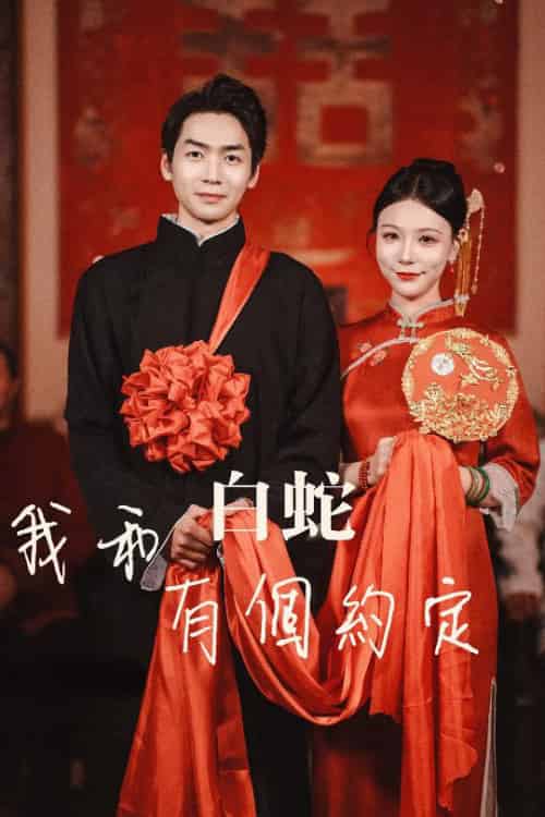 我和白蛇有个约定（65集全）-初遇资源网