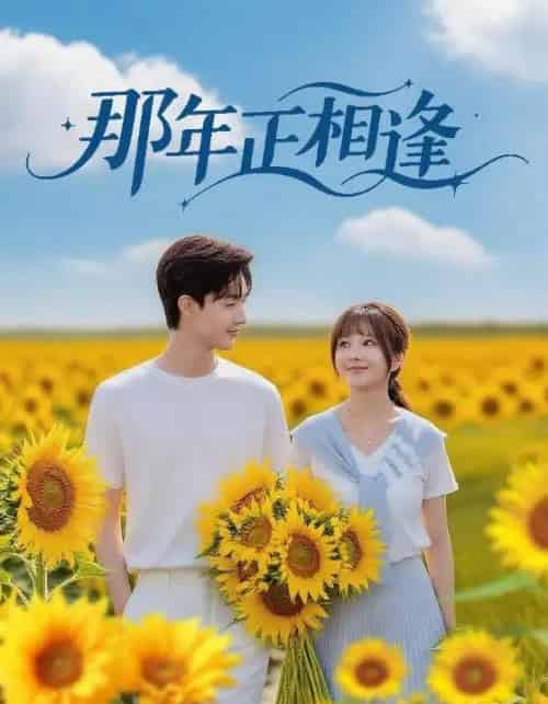那年正相逢（60集全）沈国洋＆鹿蓝予-初遇资源网