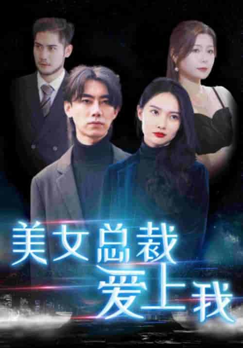 美女总裁爱上我（80集全）秦玉＆颜若雪-初遇资源网