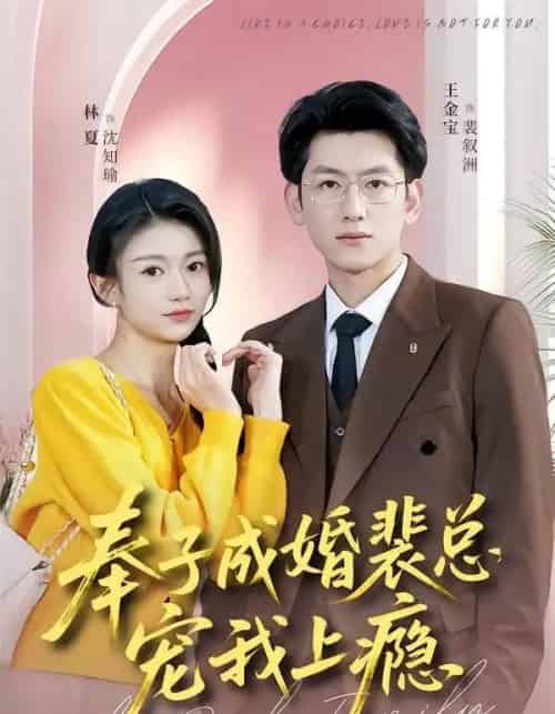 奉子成婚裴总宠我上瘾（59集全）王金宝＆林夏-初遇资源网