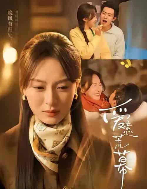 爱意荒幕（70集全）程琳淼＆邵之鹏-初遇资源网