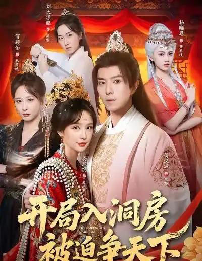 开局入洞房，被迫争天下（88集全）傅汉源＆姜熙饶-初遇资源网