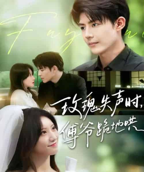 玫瑰失声时傅爷跪地哄(70集)詹妮&于济玮-初遇资源网