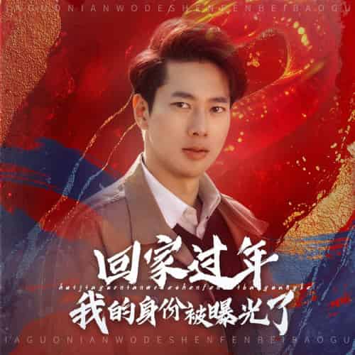 回家过年我的身份被曝光了（60集）张子安-初遇资源网