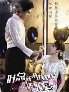 叶总新来的助理是您的哑妻（45集全）-初遇资源网