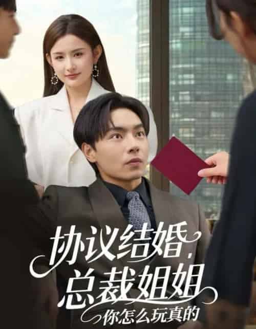 协议结婚,总裁姐姐你怎么玩真的(85集全)张闻宇&董鹿鹿-初遇资源网