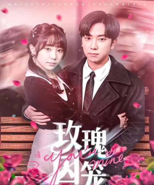 玫瑰囚笼（81集全）张旭＆沈南姝-初遇资源网