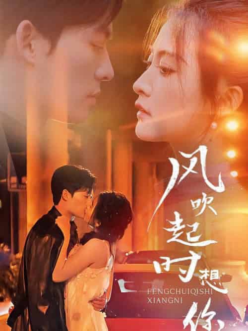 风吹起时想你(56集全)雷笑语-初遇资源网