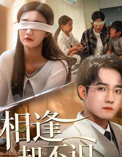 相逢却不识（77集全）刘静阳＆程汁-初遇资源网