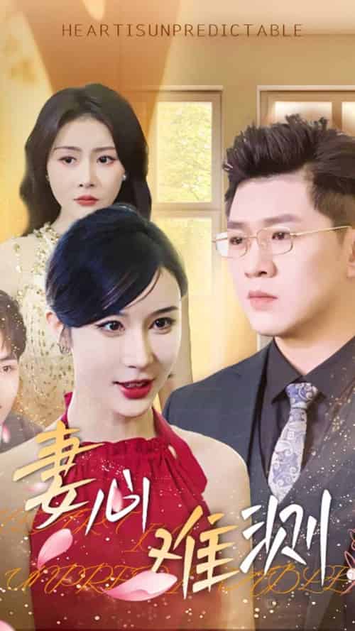 妻心难测（33集全）林彤-初遇资源网