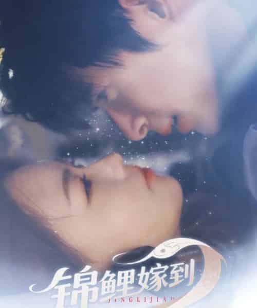 锦鲤嫁到（67集）贾舒宁-初遇资源网