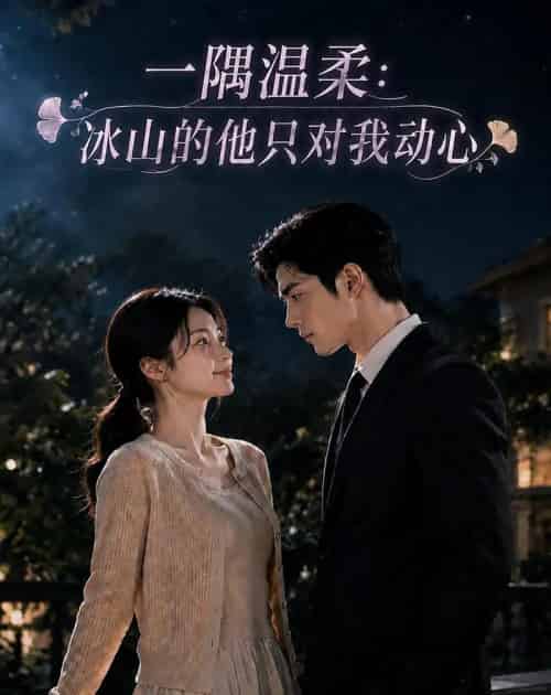 一隅温柔:冰山的他只对我动心(63集全)AI-初遇资源网