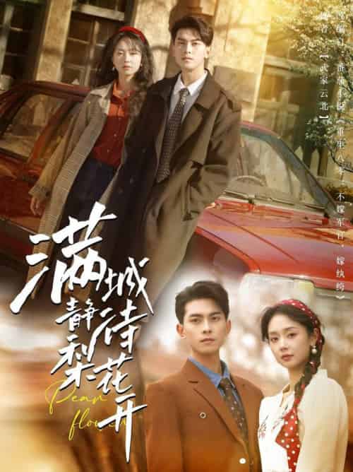 满城静待梨花开（100集全）韦若辰＆张紫菡-初遇资源网