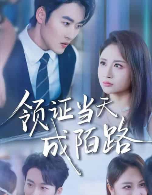 领证当天成陌路（39集全）姜博龙＆李佳乐-初遇资源网