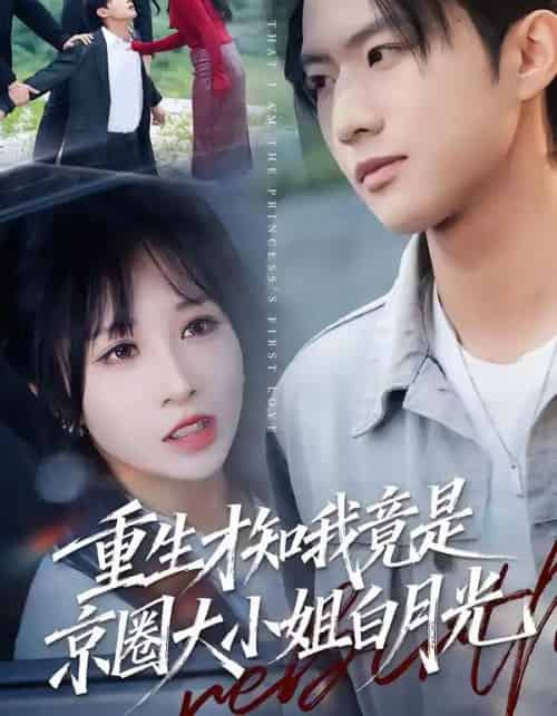 重生才知我竟是京圈大小姐白月光（80集全）卞菁-初遇资源网
