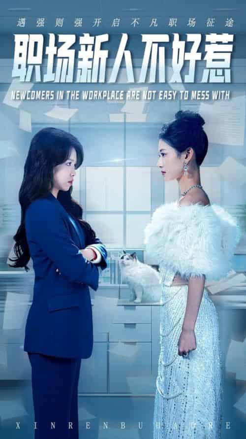 职场新人不好惹（61集全）汪巧＆吴彦婷-初遇资源网