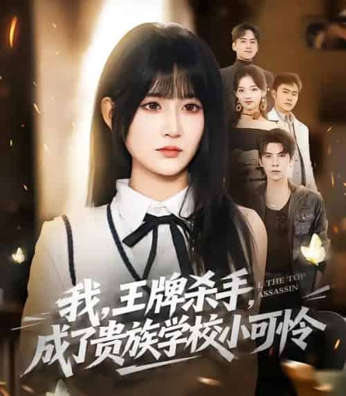 我,王牌杀手,成了贵族学校小可怜(80集全)吴宇航&杨珊子-初遇资源网