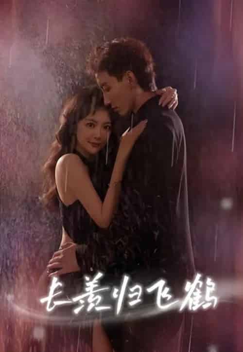 长羡归飞鹤 （70集） 霍文琦 长篇-初遇资源网