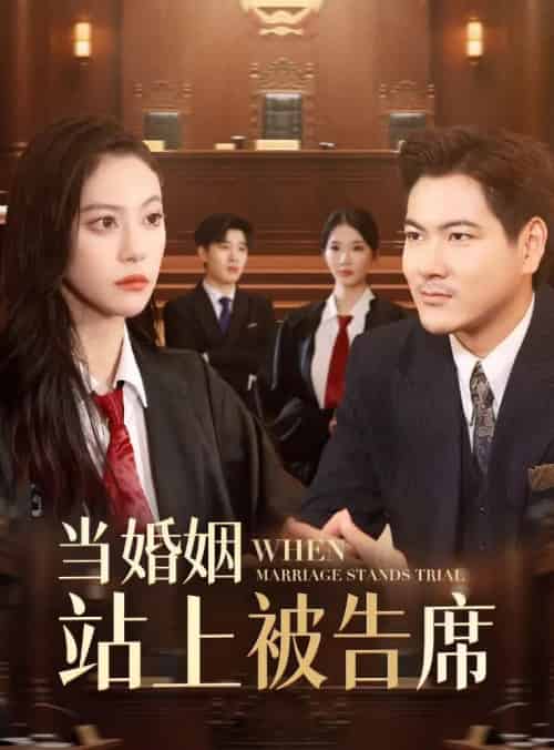 当婚姻站上被告席（30集）刘林＆刘涵飞-初遇资源网