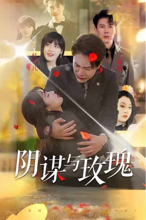 阴谋与玫瑰（31集全）朱馨玉＆刘涵飞-初遇资源网