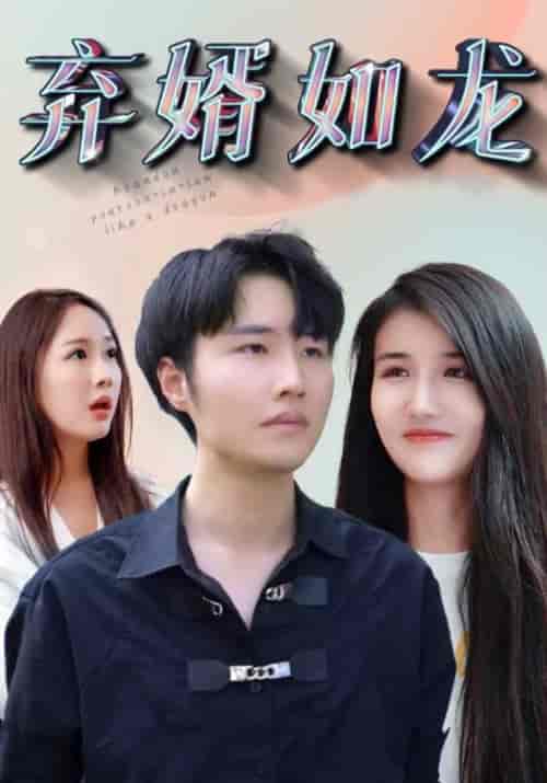 弃婿如龙（91集全）林枫＆程清雅-初遇资源网