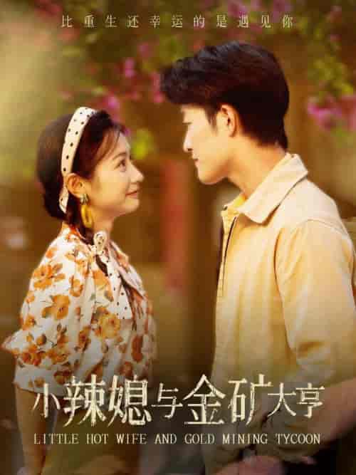 小辣媳与金矿大亨（98集）-初遇资源网