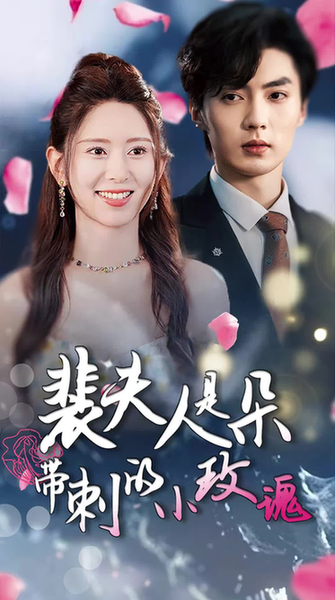 裴夫人是朵带刺的小玫瑰＆离婚后前妻惊艳全球（69集）-初遇资源网