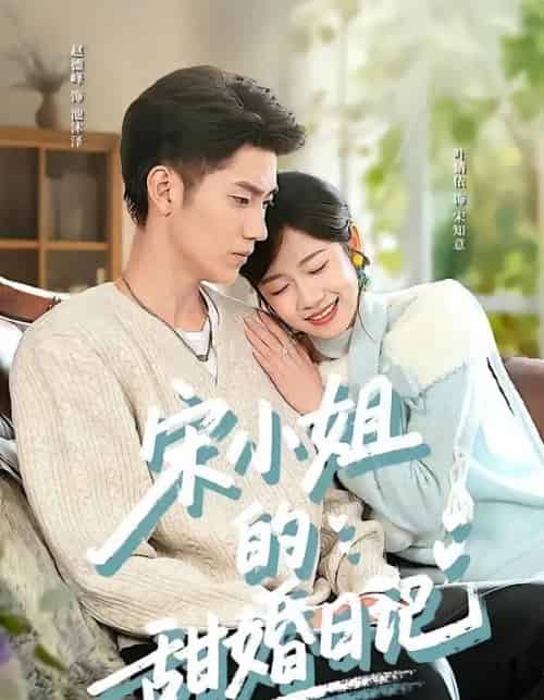 宋小姐的甜婚日记(60集全)叶婧依&赵德峰-初遇资源网