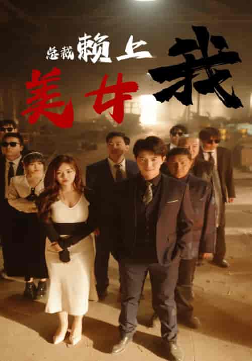 美女总裁赖上我（97集）-初遇资源网