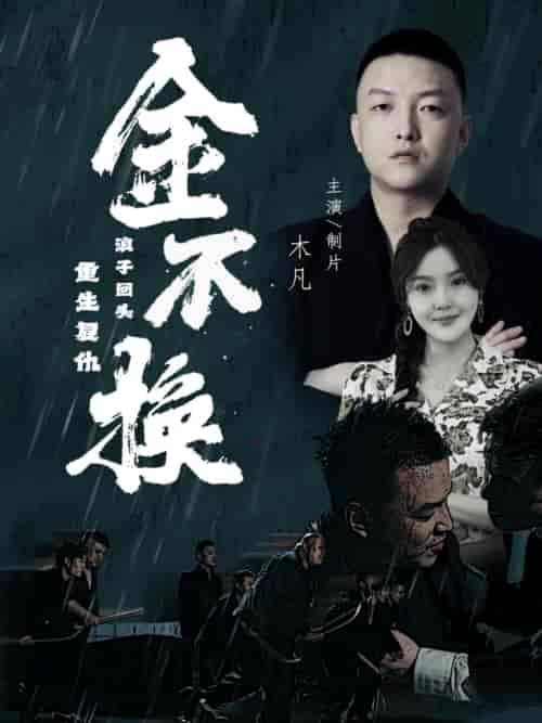 金不换（32集）-初遇资源网