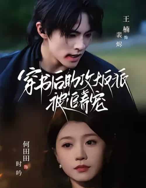 穿书后助攻大反派被追着宠(70集全)王楠&何田田-初遇资源网